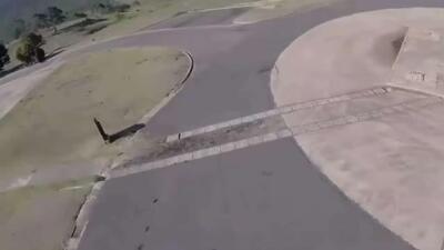  کانگورو: اینجا قلمرو شما نیست!