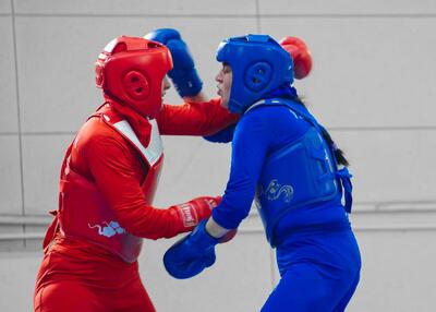 ‎معرفی صدرنشین لیگ ووشوی زنان در‌ پایان دور رفت