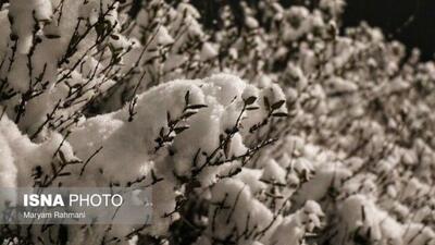 کاهش محسوس دما در اغلب مناطق کشور / ورود سامانه بارشی جدید از جمعه