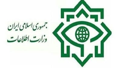 بازداشت اراذل و اوباش فعال در حوادث تروریستی دی ماه تهران توسط وزارت اطلاعات