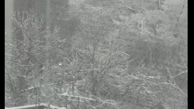  تهران صبح خود را برفی شروع کرد