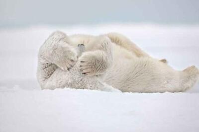 چند نکته درباره افق بازار نفت و نقره