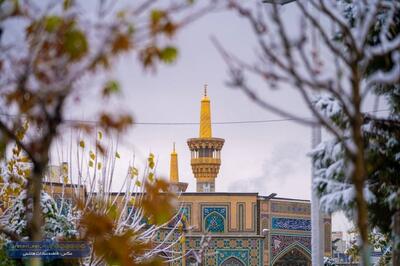 دانه های برف بر روی گنبد طلا