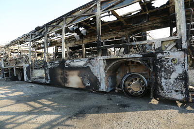 پای سلبریتی‌ها بر اساس این قانون گیر است