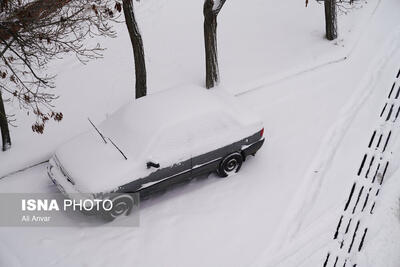  بارش سنگین برف در اردبیل