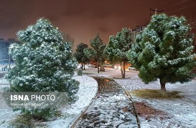  نیمه شب برفی سمنان