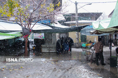 تشدید برف و باران در ۱۲ استان/ افزایش ارتفاع موج به بیش از ۲ متر در جنوب کشور