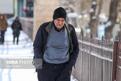  که سرما سخت سوزان است