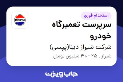  استخدام سرپرست تعمیرگاه خودرو - آقا در شرکت شیراز دینا(پپسی)