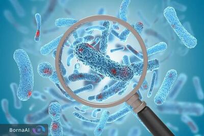  امیدی تازه در مقابله با سپسیس؛ داروی جدید جان بیماران را نجات می‌دهد