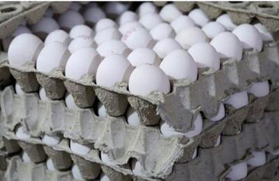کاهش تقاضای تخم مرغ بعد از گرانی‌ها