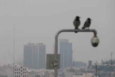  افزایش نسبی دما و آلودگی هوا در انتظار تهران