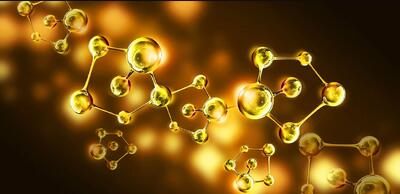  پیوند علوم اعصاب و هوش مصنوعی از طریق نانوکانال‌ها - ایران ویو 24