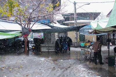 تشدید برف و باران در ۱۲ استان ایران