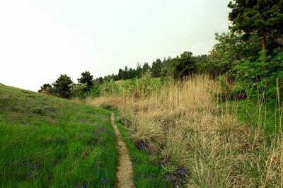 ماجرای سرقت شبانه از کلینیک پردیسان چه بود؟