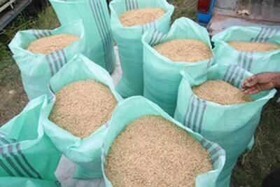 قیمت برنج خارجی در بازار چند؟/نرخ دولتی گران تر از کف بازار