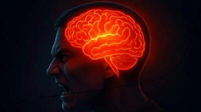 میگنا - وقتی عصبانی هستید چه اتفاقی در مغز شما می‌ افتد؟