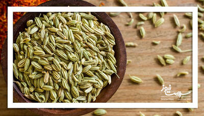 طراحی و ساخت فیتوزوم حاوی اسانس رازیانه و ارزیابی آن در کاهش شدت درد مبتلایان به دیسمنوره