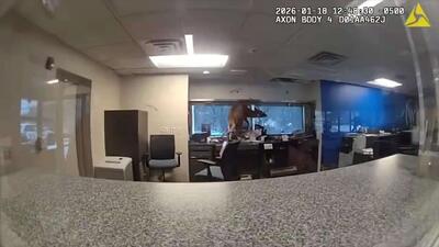  سرقت ناموفق گوزن از بانک