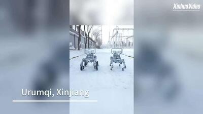  سگ‌های بازرس رباتیک در سین‌کیانگ چین در حال انجام وظیفه هستند و در دمای منفی 20 درجه سانتیگراد کار می‌کنند تا ایمنی شبکه برق را تضمین کنند