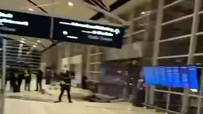  یک خودرو وارد جمعیت «فرودگاه دیترویت» آمریکا شد