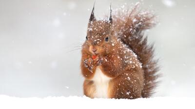 از این سردتر نمی‌شود / جایی که در آن دما به منفی ۹۸ درجه رسید+ عکس