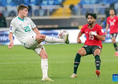 رسمی: حریفان تدارکاتی نیوزیلند مشخص شد