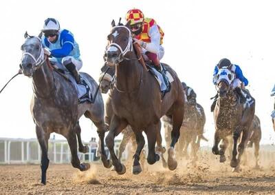 قهرمان جایزه بزرگ پرش با اسب معرفی شد