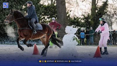  اسب‌سواری کن تا قند خونت بیاد پایین