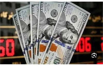قیمت دلار امروز یکشنبه ۵ بهمن ۱۴۰۴ / رشد شبانه دلار در بازار جنگ زده