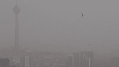  مدارس تهران فردا مجازی می‌شود؟
