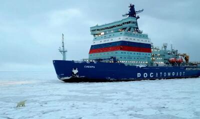 خرس قطبی برای پیدا کردن غذا سوار کشتی اتمی شد!