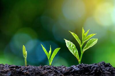  ۷ نانوکامپوزیت در خدمت مقابله با کم‌آبی