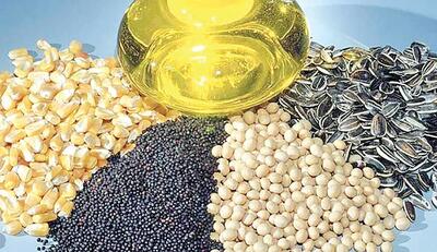  تداوم انحصار در واردات روغن/بازار دانه‌های روغنی ساماندهی می‌شود