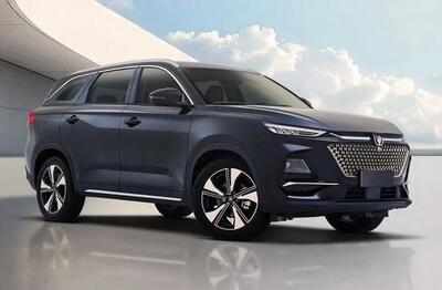  شاسی بلند چینی رکورد گینس را ثبت کرد - اکونیوز