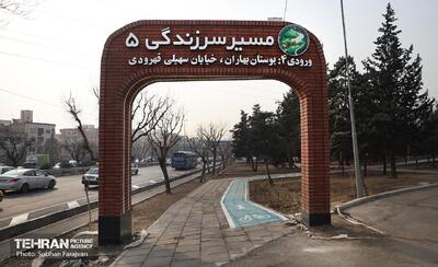  طراحی مسیر زندگی به سمت امامزاده داوود