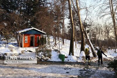  برف زمستانی پارک جمشیدیه