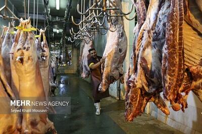 قیمت گوشت قرمز تعدیل می‌شود؛ رتبه سوم خرید کالابرگ