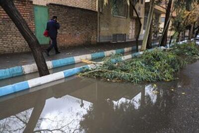 صدور هشدار بارش برای تهران طی فردا
