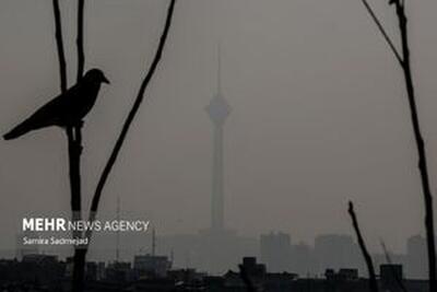 مدارس تهران فردا مجازی می‌شود؟