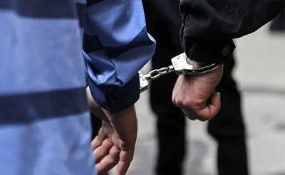 بازداشت ۸ نفر از عوامل اصلی تخریب و آتش‌سوزی در اغتشاشات اخیر در کیش