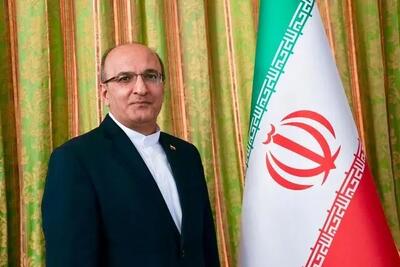 سفیر ایران در زیمبابوه: ملت ایران تسلیم ارعاب و مداخله خارجی نخواهد شد