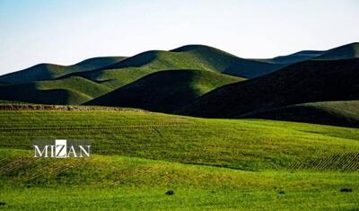  دادگستری گلستان مانع از دست‌اندازی سودجویان به ۳۸۰ هکتار از مراتع چپرقویمه شهرستان گنبدکاووس شد