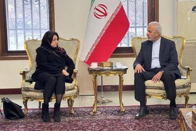  سرپرست سفارت ایران در کابل با معاون گوترش دیدار کرد
