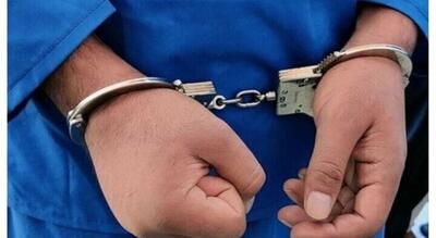  دستگیری ۴۰ عامل اصلی تخریب اموال مردم در گلستان