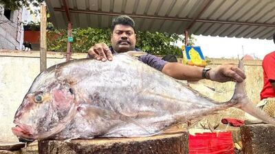  مهارت دیدنی ماهی فروش هندی در برش زدن یک ماهی تراولی بزرگ