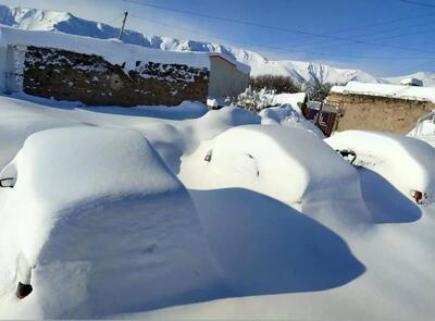 خودروها زیر برف در این منطقه مدفون شدند