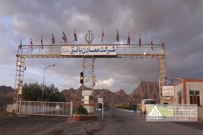 عملکرد «کبافق» تا پایان دی ماه بررسی شد