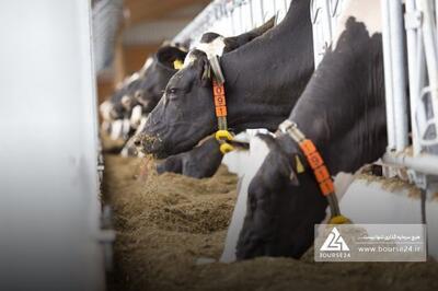 «غدام» سال مالی خود را چگونه آغاز کرد؟