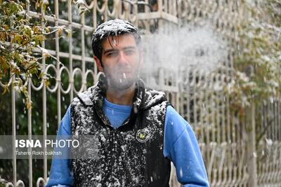  تصاویر: بارش برف در شیراز پس از ۱۲ سال